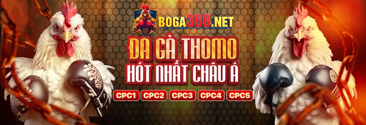 Giao dịch nhanh chóng km3888b chính thức